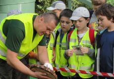 Jesienny festyn leśnego kompleksu promocyjnego „Puszcza Świętokrzyska”