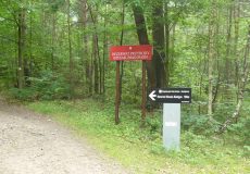Rajd pieszy szlakiem do Rezerwatu Biesak Białogon