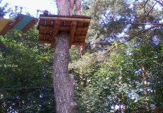 PARK LINOWY NA LEŚNYM STADIONIE