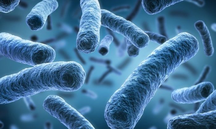 Materiały edukacyjno-informacyjne dotyczące bakterii Legionella