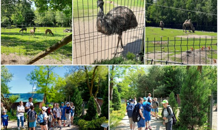 Wycieczka klasy 5a i 5b do „Leśnego Zacisza”