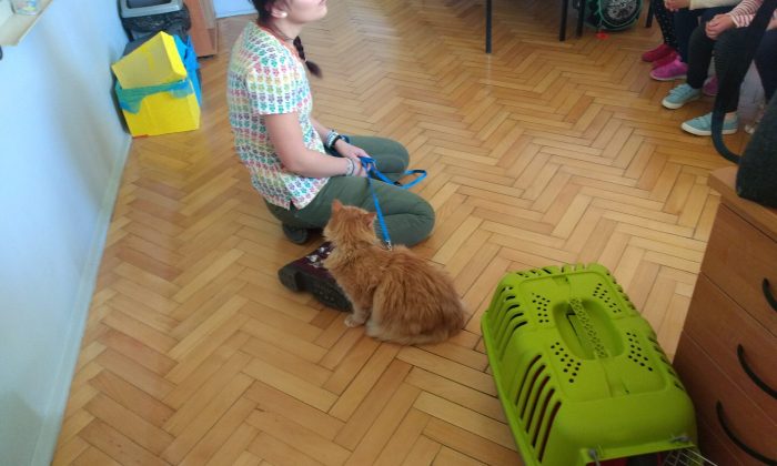 Światowy Dzień Kota